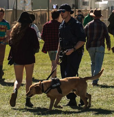 sniffer dogs NSW