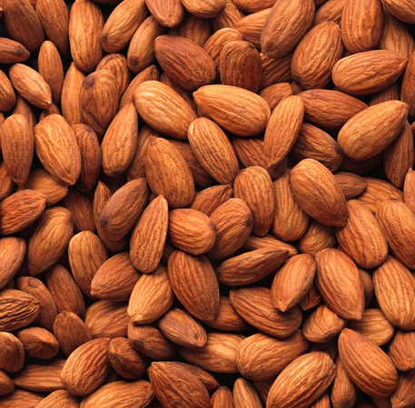 dogs cant eat almonds