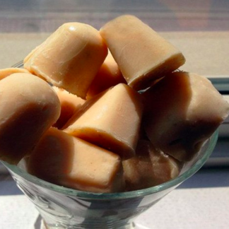 frozen yoghurt dog food