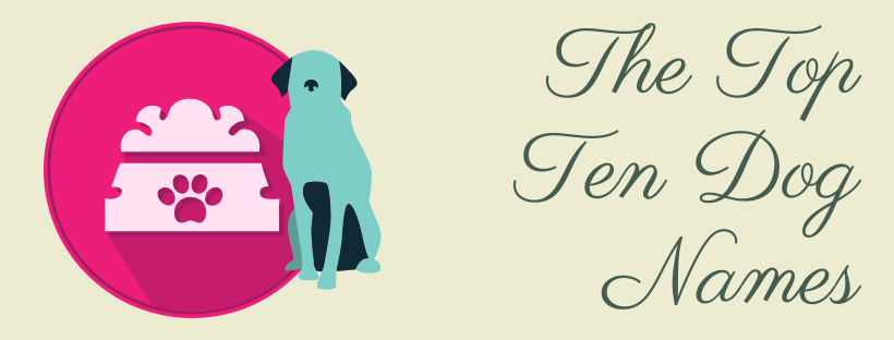 top ten dog names