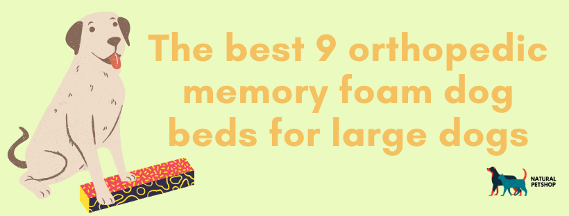 The best 9 orthopedic memory foam dog beds for large dogs