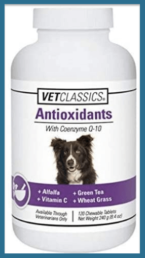  best multivitamin for dogs on homemade diet    