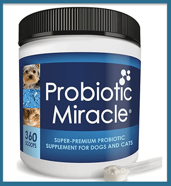  dog supplements for homemade food   