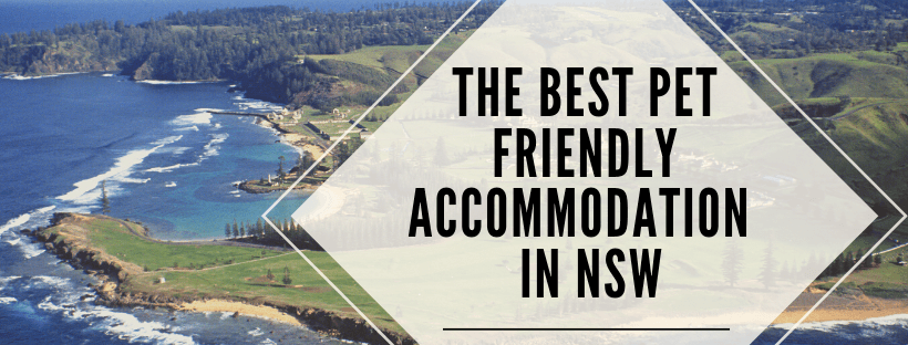 pet friendly accommodation NSW