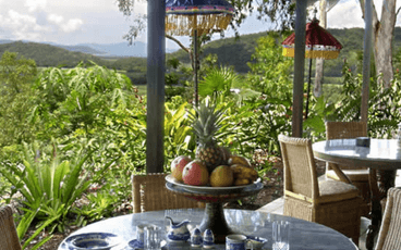 Dog Friendly Hotels Far North QLD