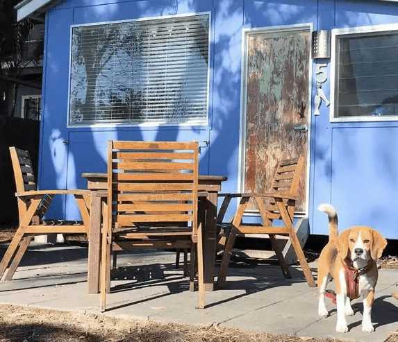 Pet friendly accommodation QLD