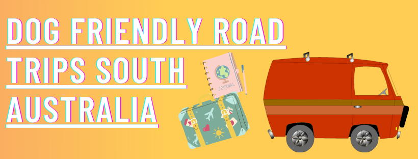 Dog Friendly Road Trips SA (South Australia)