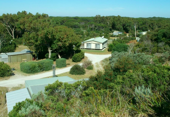 Pet Friendly Holiday Ideas SA | Dog Friendly Holiday Ideas SA