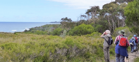 Gippsland & High Country