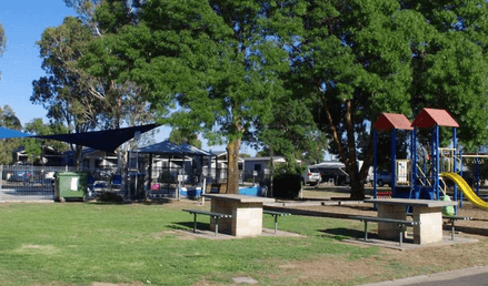 dog friendly accommodation with pool Victoria