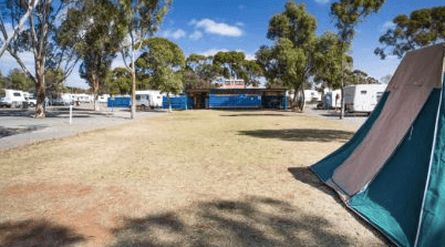 Kalgoorlie Goldfields Holiday & Caravan Park Dog friendly caravan parks WA