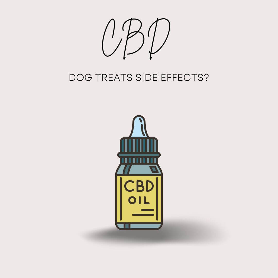  What are the CBD dog treats side effects