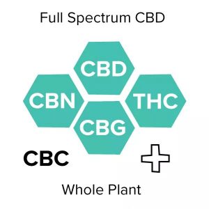 full spectrum cbd dog treats