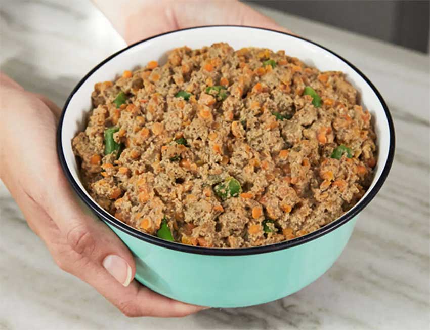 dog food delivered to home