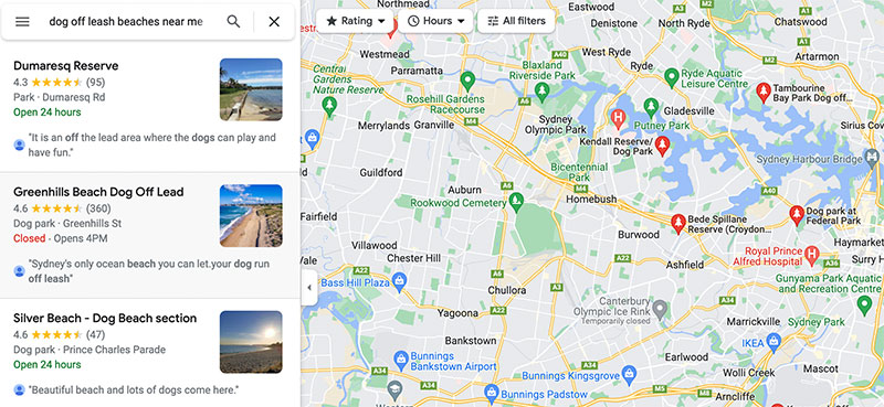 Off leash dog beach near me