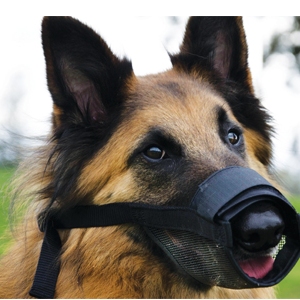 Dog Muzzles