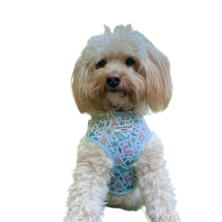 Cocopup London Dinopaws Dog Collar, Adjustable Neoprene Padded, XS-L Sizes, Dinosaur Print (Extra Small)