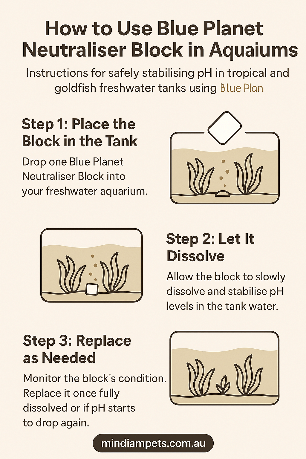  How to Use Blue Planet Neutraliser Block – Step-by-Step Infographic for pH Control | mindiampets.com.au