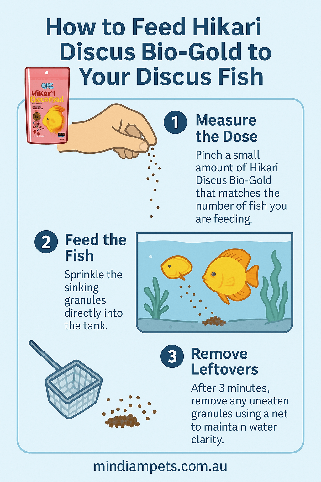  Step-by-step guide on how to feed Hikari Discus Bio-Gold granules to Discus fish in a freshwater aquarium.