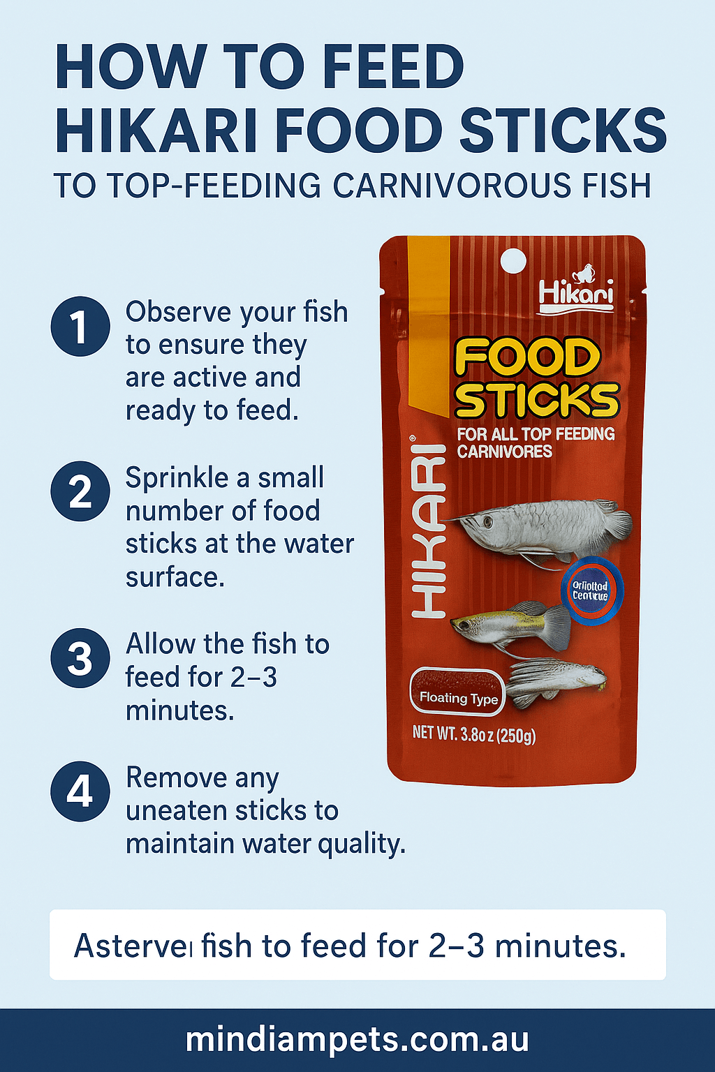  Step-by-step guide on how to feed Hikari Food Sticks to top-feeding carnivorous fish like arowanas – Mindiampets.com.au