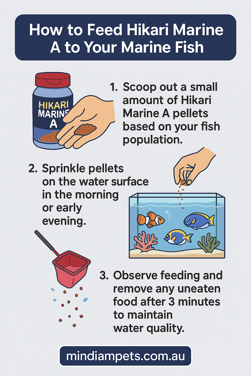  Step-by-step guide on how to feed Hikari Marine A pellets to marine aquarium fish – mindiampets.com.au