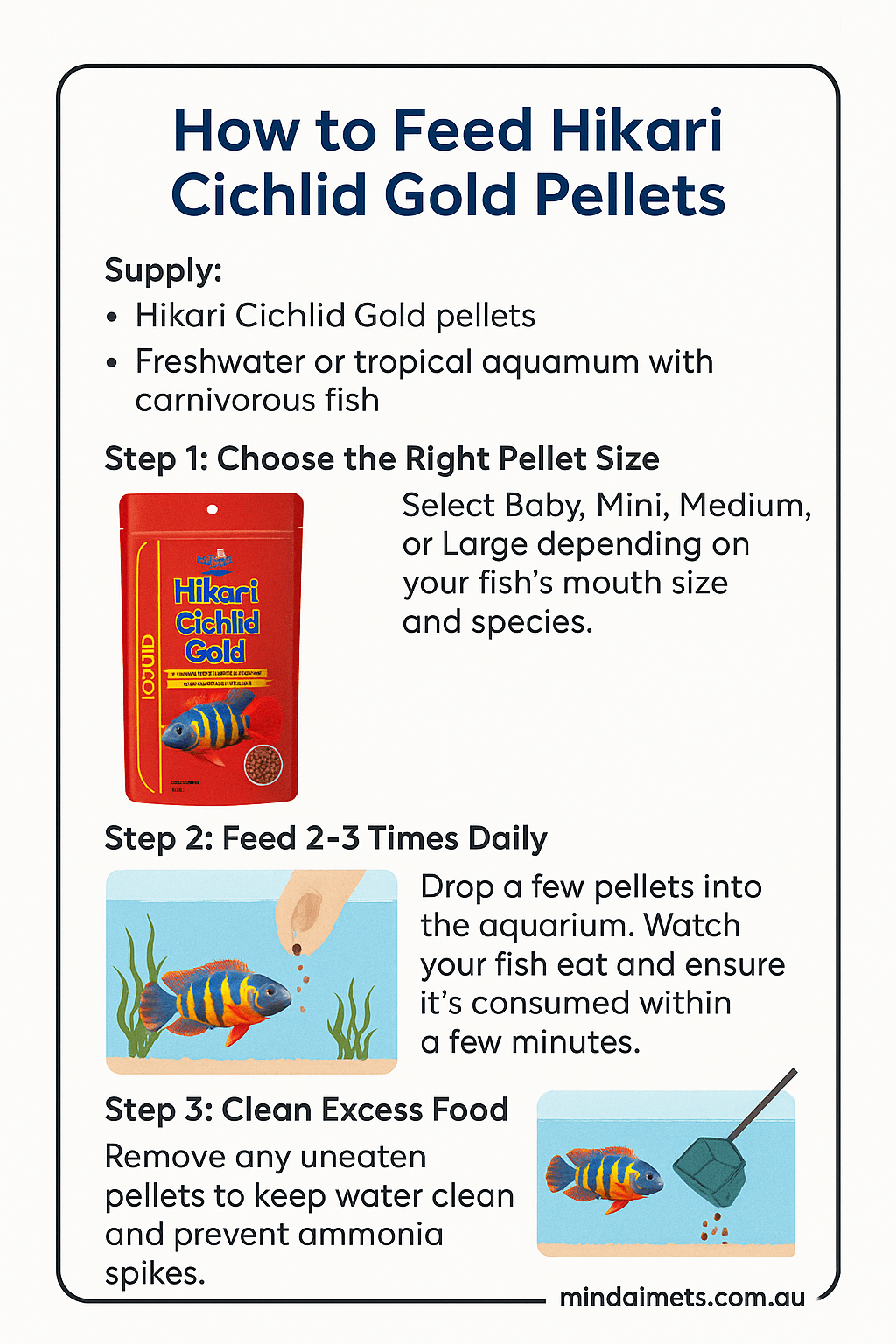 Step-by-step guide to feeding Hikari Cichlid Gold pellets to carnivorous aquarium fish