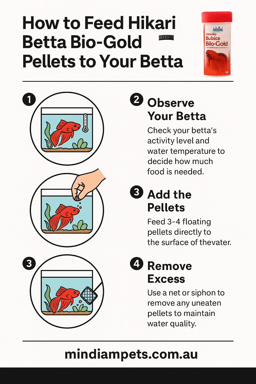  Step-by-step infographic on how to feed Hikari Betta Bio-Gold Pellets to Betta fish