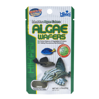 Hikari Algae Wafers – Best Algae Eater Food for Plecostomus & Bottom Feeders – High Vegetable Content – Disc Shaped – Mindiampets.com.au