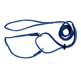 blue - Beau Pets Martingale Show Lead | Adjustable Nylon Dog Lead