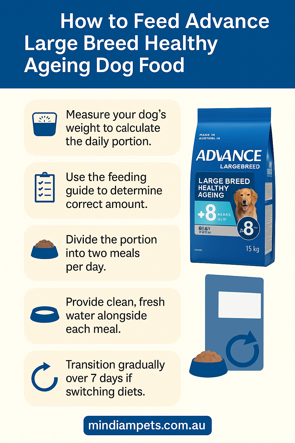  Infographic showing how to feed Advance Healthy Ageing dog food for senior large breed dogs