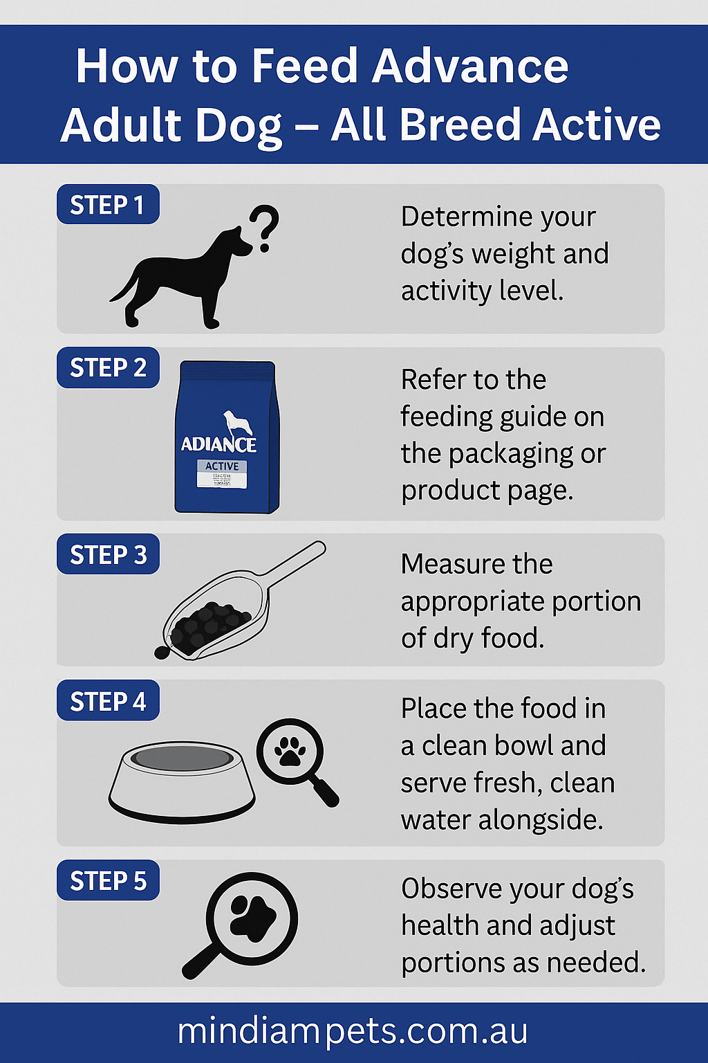 Step-by-step infographic for feeding Advance Adult Dog All Breed Active formula