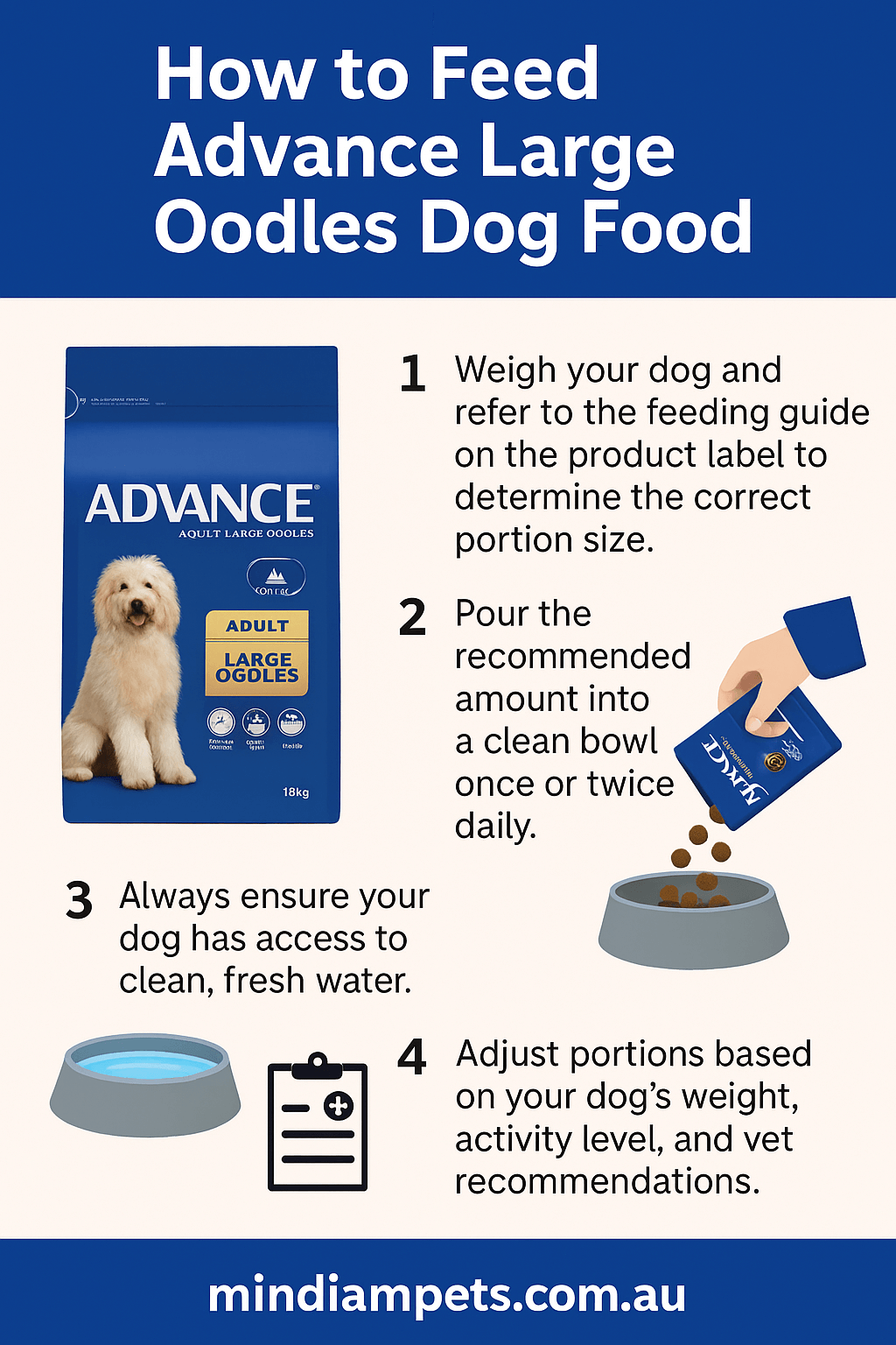 tep-by-step guide to feeding Advance Large Oodles dog food for skin, coat, and gut health