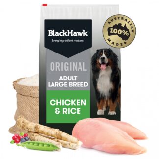 How to Feed Black Hawk Large Breed Chicken – Step-by-Step Guide