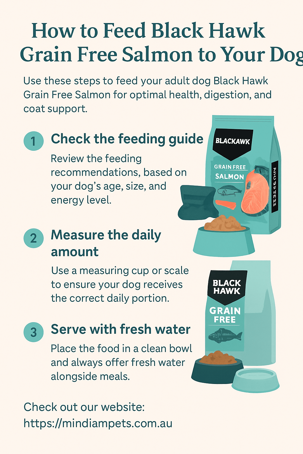 Infographic titled 'How to Feed Black Hawk Grain Free Salmon to Your Dog' showing step-by-step feeding instructions with illustrated pet food and bowls