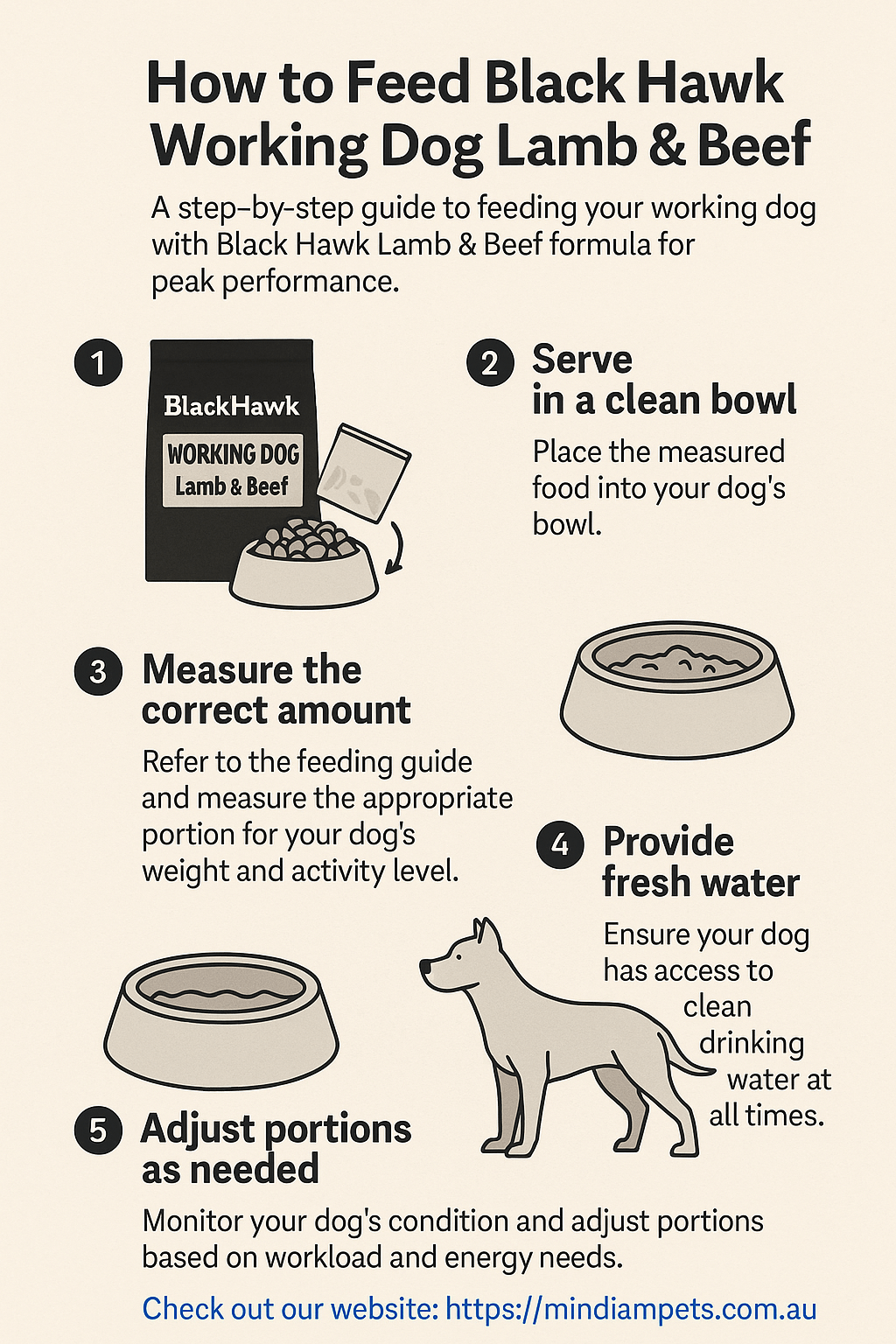 Step-by-step guide on feeding Black Hawk Working Dog Lamb & Beef with portion tips, water advice, and adjustment instructions.