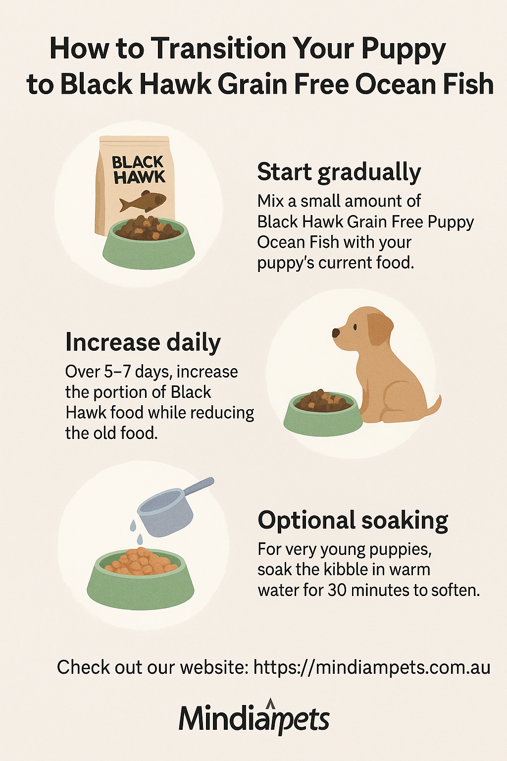 Step-by-step infographic on transitioning your puppy to Black Hawk Grain Free Ocean Fish,