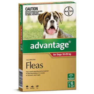 Advantage for Dogs 10–25kg | Fast Flea Spot-On