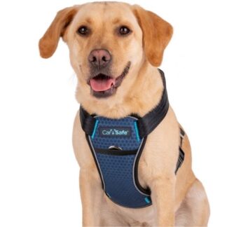 CarSafe – Crash Tested Dog Harness Blue | Certified Car Safety Harness