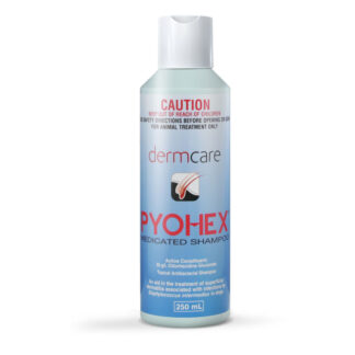 Dermcare – Pyohex Medicated Shampoo | Antibacterial Skin Care for Dogs