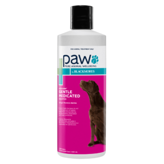 Blackmores PAW – Mediderm Gentle Medicated Shampoo | Antibacterial & Antifungal Care