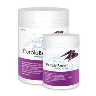 LifeWise – Purple Boost – Immuno-Stimulant | Natural Antioxidant & Probiotic Supplement | Mindiampets Australia