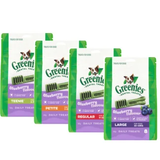 Greenies Blueberry Dental Dog Treats | Clean Teeth & Fresh Breath Daily