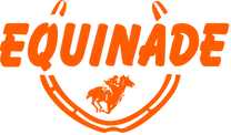 Equinade