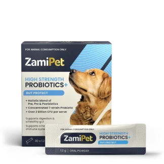 gut microbiome support supplement for dogs