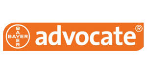 Advocate