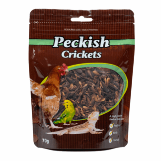 natural insect treats for pets