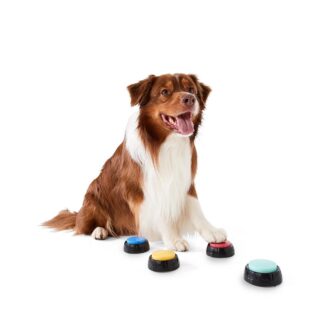 https://assets.kmart.com.au/transform/c5bc03db-a598-4005-ab49-8077850b7eaa/43352227-1 - Purchase from an Australian pet store near you