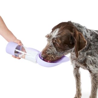 Pet Travel Bottle with Treat Holder - Lilac - Purchase from an Australian pet store near you