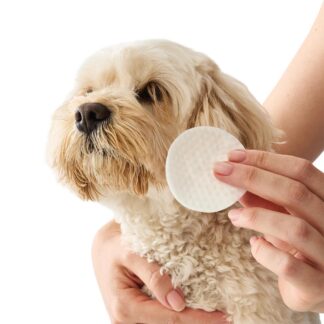 100 Pack Pet Ear & Eye Wipes - Purchase from an Australian pet store near you