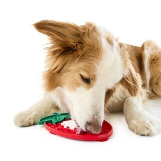 Novelty Pet Lick Mat - Assorted - Purchase from an Australian pet store near you